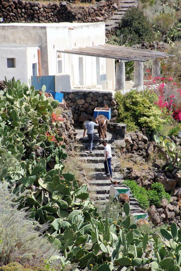 Alicudi Giardino Dei Carrubi- Al Gradino 365 Bed & Breakfast Lipari  Exterior photo